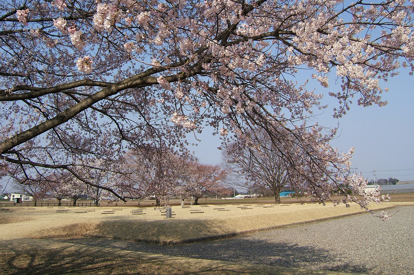 下野国分尼寺跡