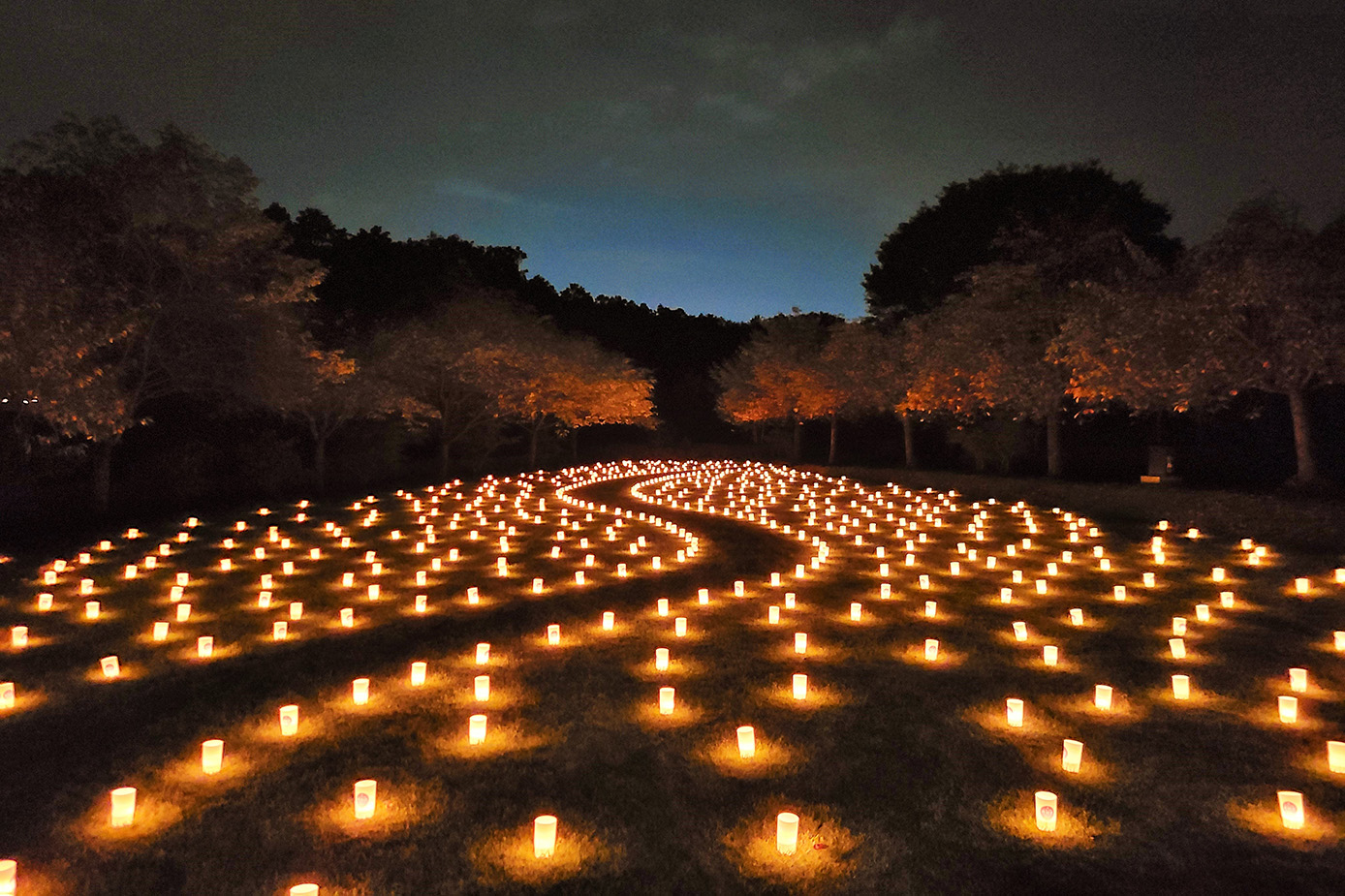 しもつけ燈桜会